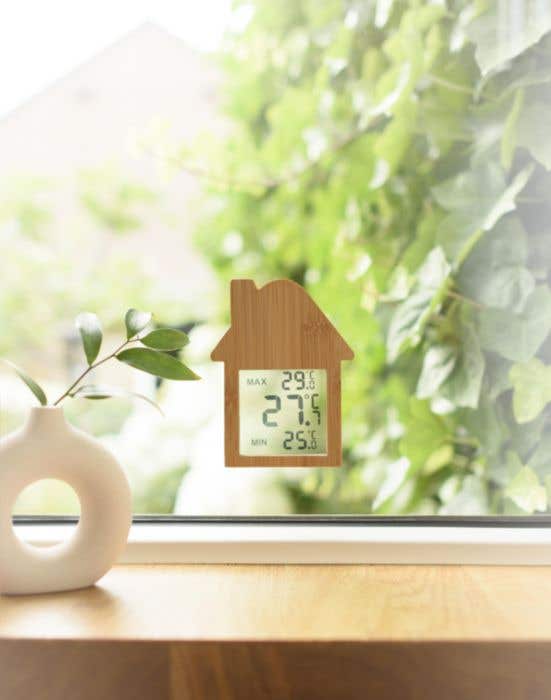 Station météo Lane