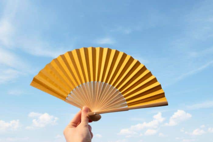 Éventail en bambou Thijs