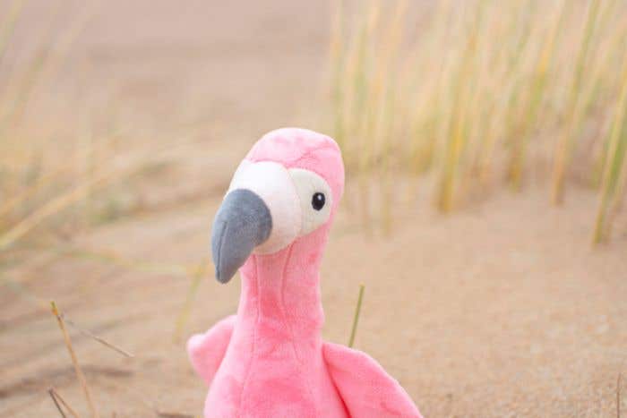 Peluche flamant rose Alicia