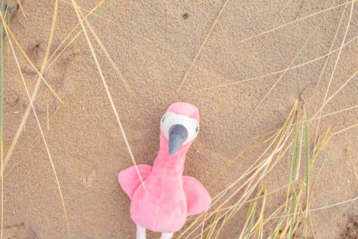 Peluche flamant rose Alicia