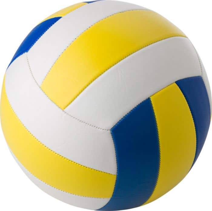 Volleyball Zephyrine [Taille 5]