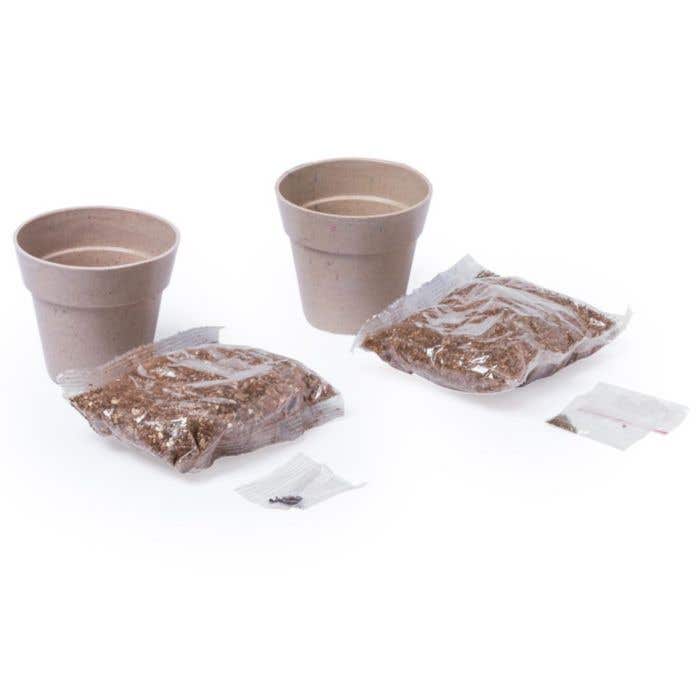 Set pot de fleurs Nertel