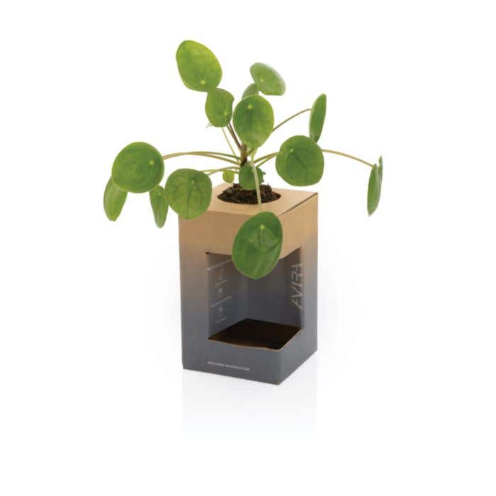 Gobelet Isotherme à Double Paroi Alya [300 ml]