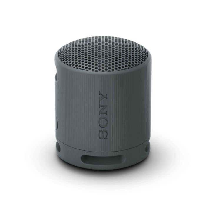 Sony Haut-Parleur sans Fil SRS-XB100