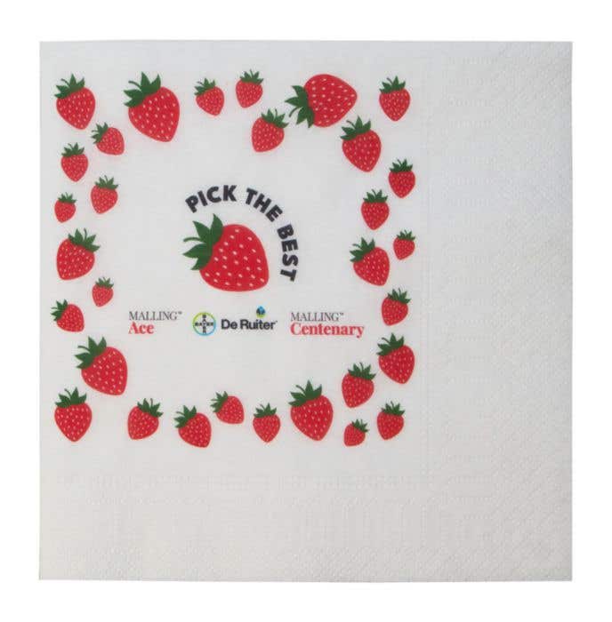 Papieren Servet Papet [16,5 x 16,5 cm]