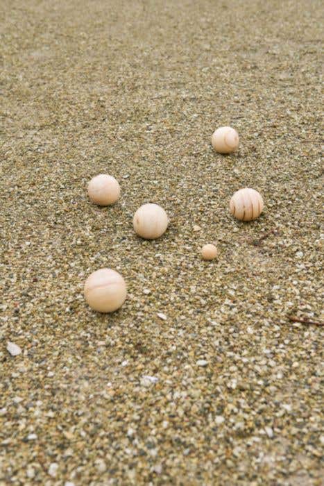 Jeu de balles en bois Quillian