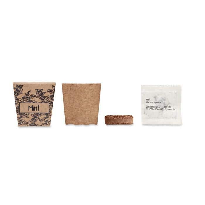 Muntzaad Kweekset Mint Kit