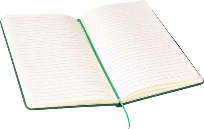 Notitieboek Dario | A5 | Gerecycleerd | 160 pagina's | Gelinieerd | Elastieksluiting