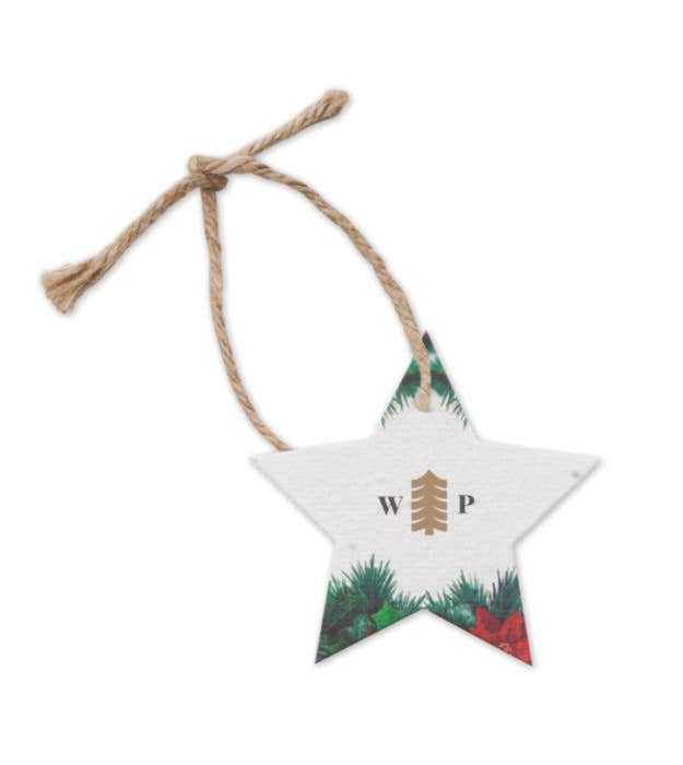 Papier semences Noël Starseed