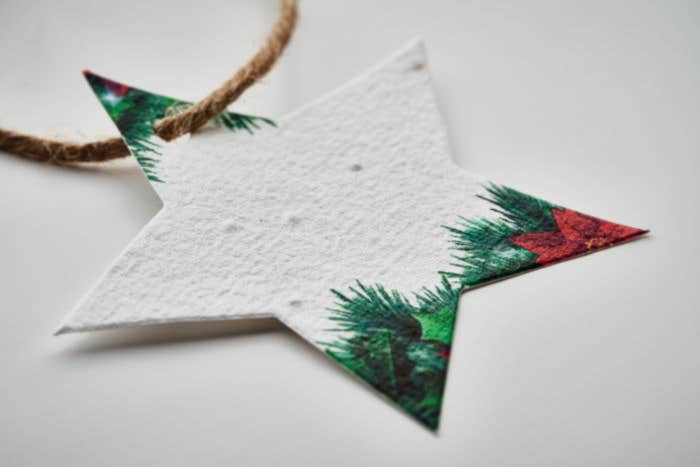 Zaadpapier Kerstornament Starseed