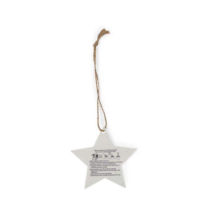 Zaadpapier Kerstornament Boster