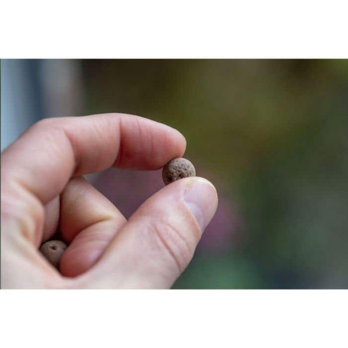 Pocket box pepermuntjes | Metallic | 100 stuks