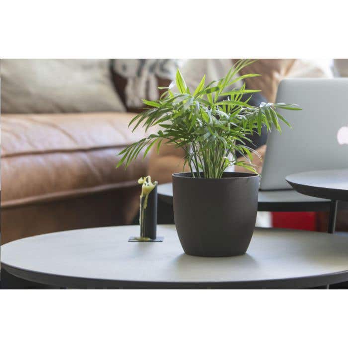 Pot de fleurs | Marc de café | Compostable