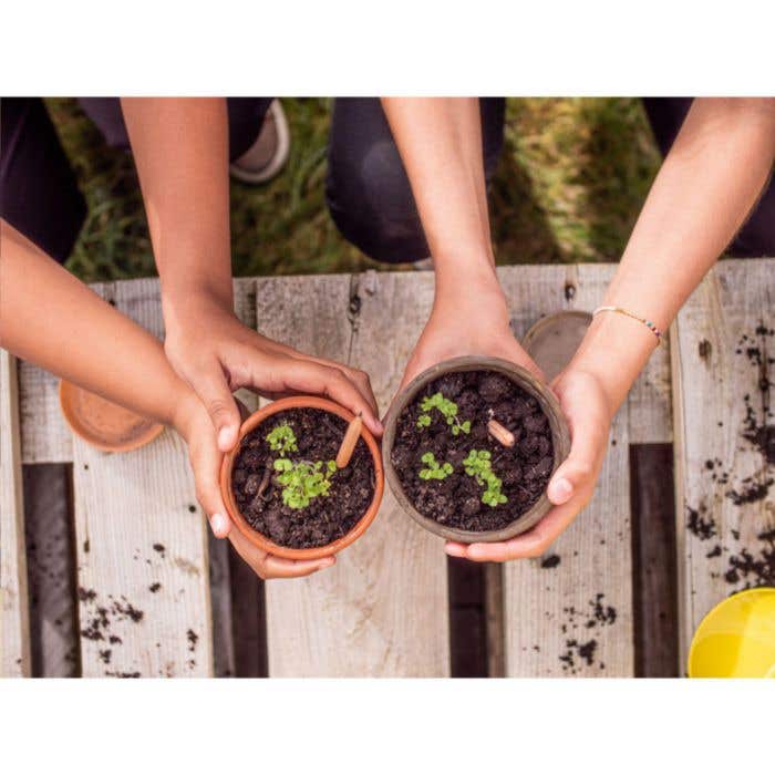 Sproutworld crayon | Plantable | Avec graines