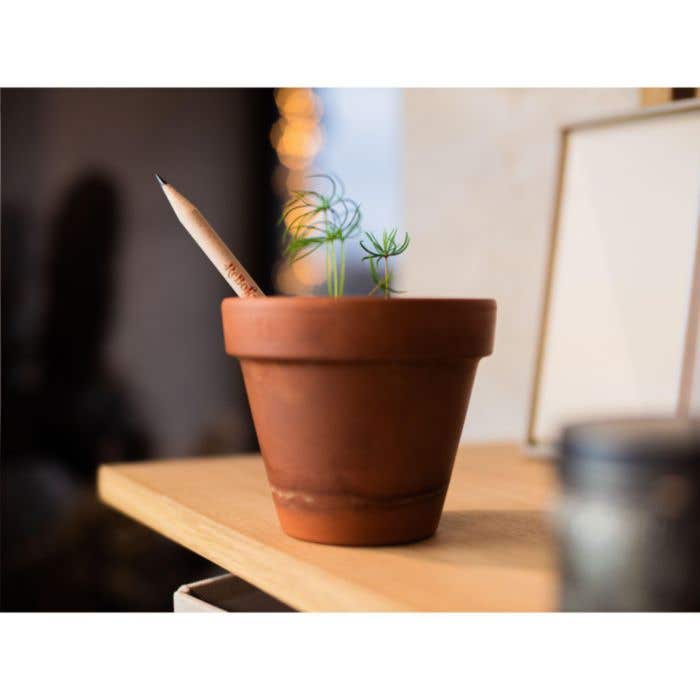 Sproutworld crayon | Plantable | Avec graines
