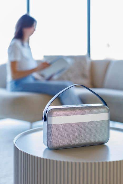 Enceinte sans fil BrandCharger Nano Beast