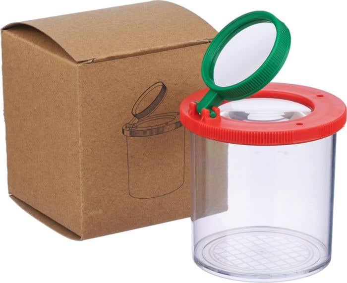 Insectenpotje Sunlit