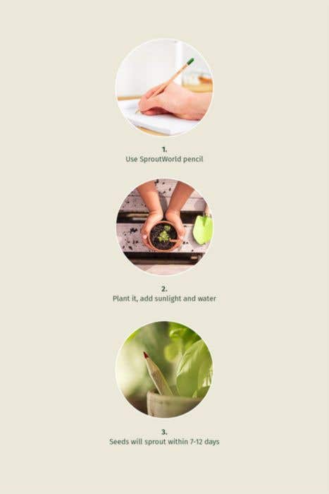 Sproutworld Set Unsharpened Pencil and Header Card