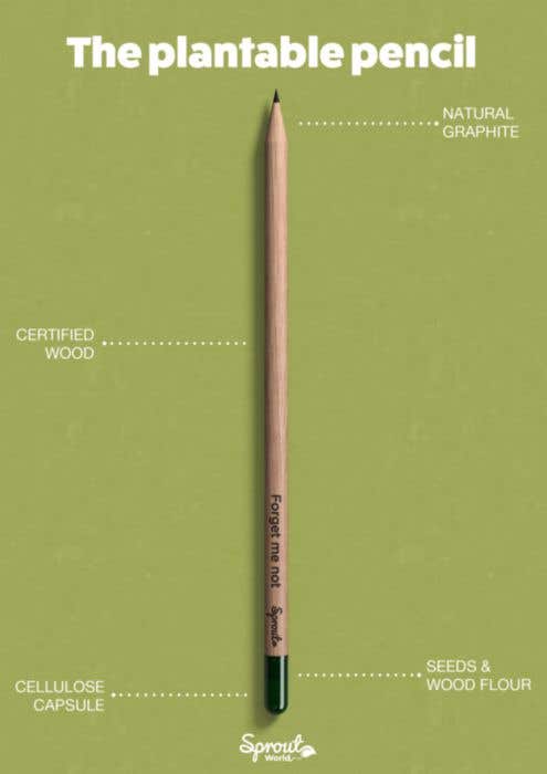 Sproutworld Set Unsharpened Pencil and Header Card