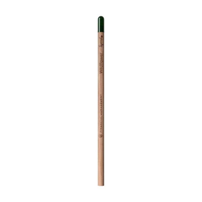 Sproutworld Set Unsharpened Pencil and Header Card