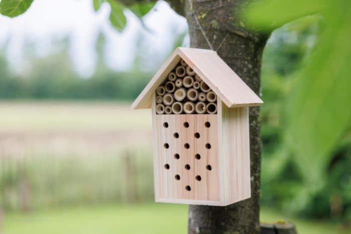 Bijenhuisje Fahim | FSC® hout | Met ophanghaak