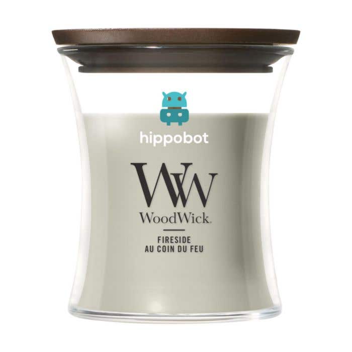 WoodWick Fireside Mini Candle