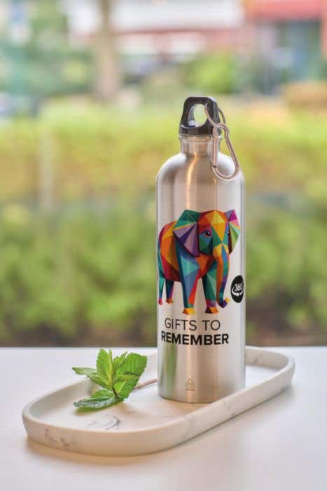 Drinkfles Emeric | 750 ml | Gerecycleerd RVS | Enkelwandig | Karabijnhaak