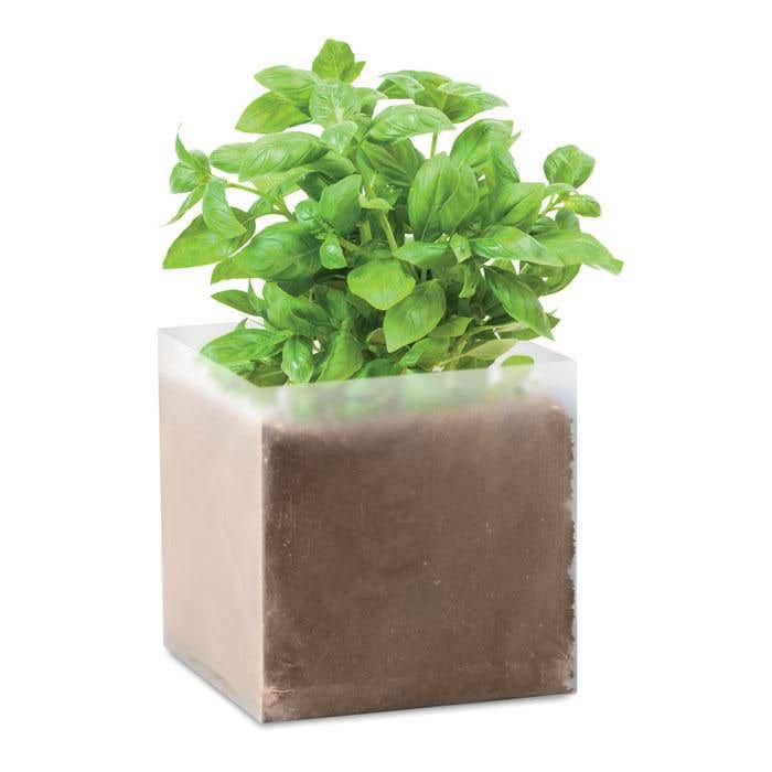 Substrat avec graines Basilic