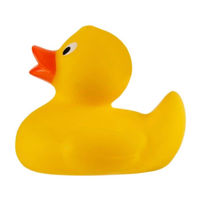 Canard de bain