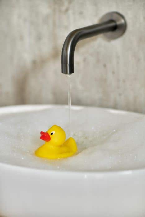 Canard de bain