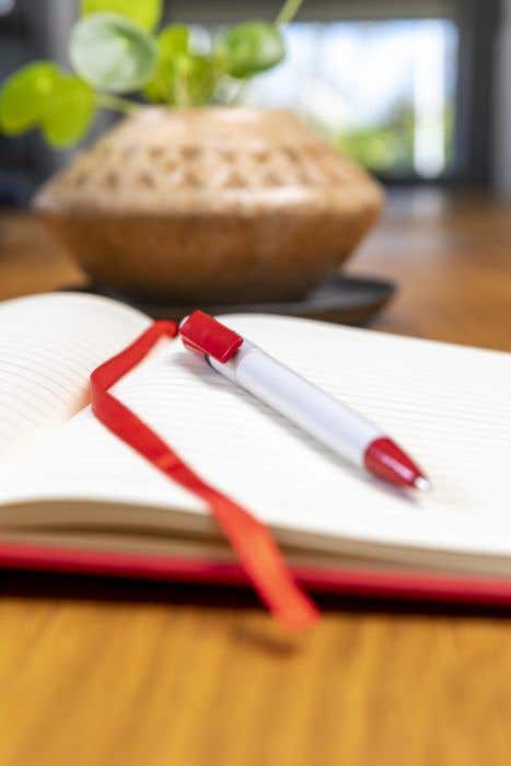 Stylo Ducal Colour