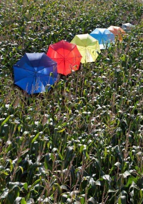 Parapluie uni Golf
