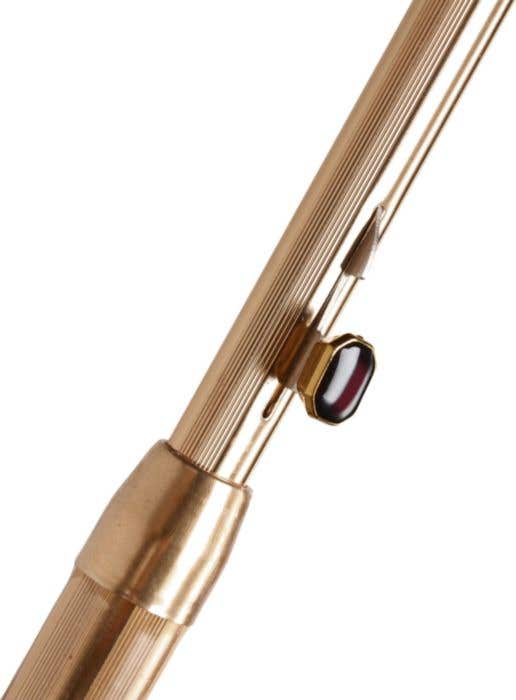 Paraplu Zigo
