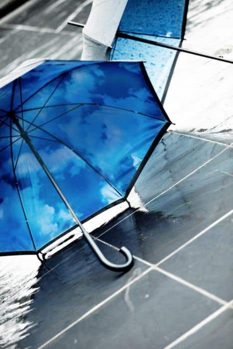 Parapluie Weatherlooks