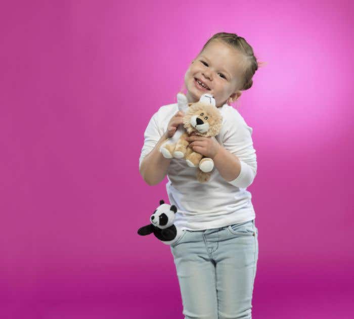 Lion en peluche
