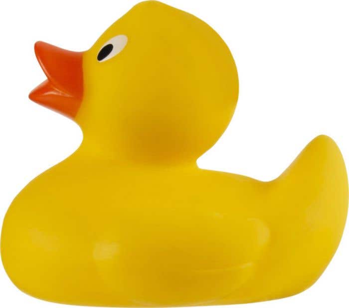 Canard de bain