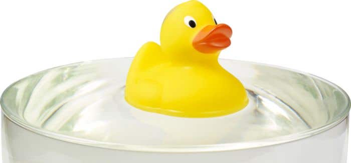 Canard de bain