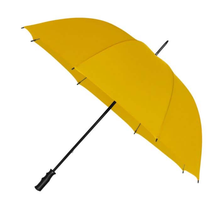 Parapluie tempête
