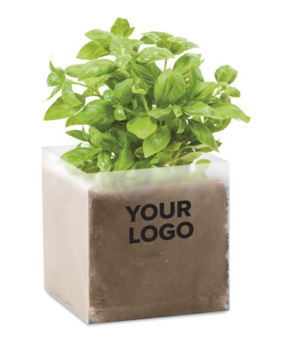 Substrat avec graines Basilic