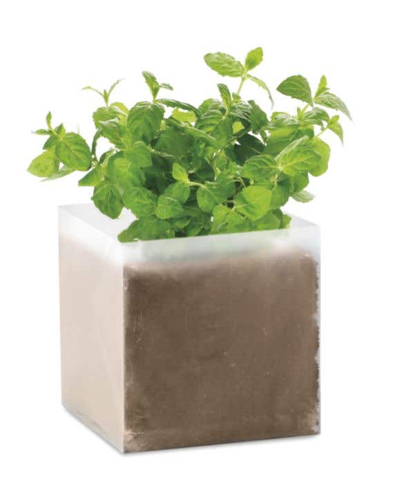 Substrat avec graines menthe