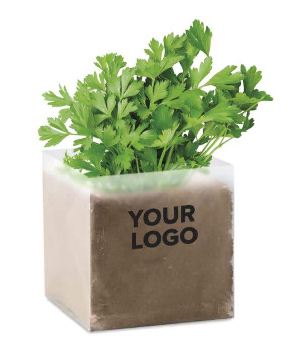 Substrat avec graines persil