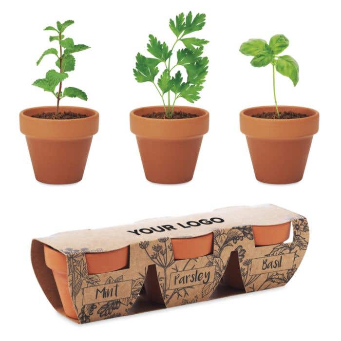 3 Pots en terre