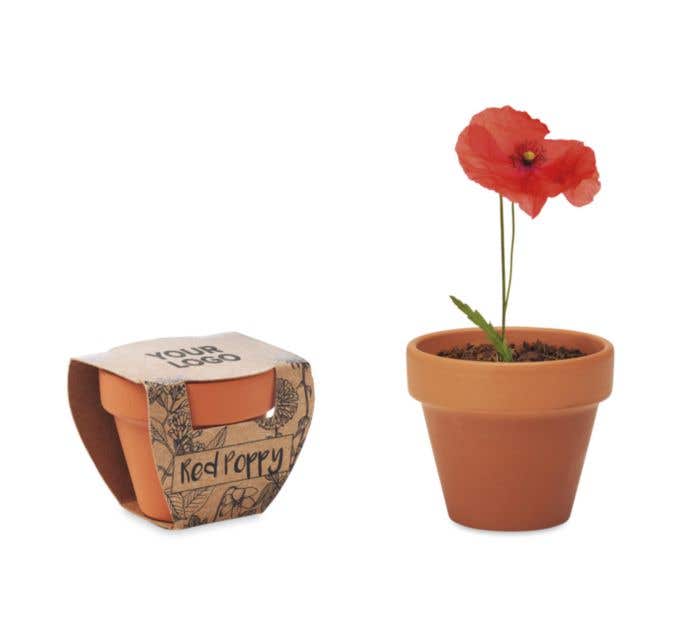 Pot graines de coquelicot