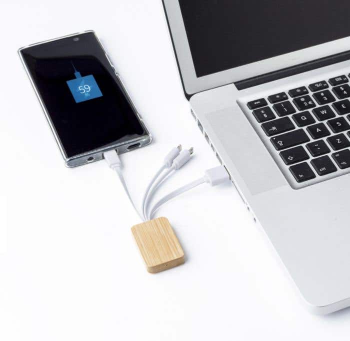 Câble de charge en Bambou