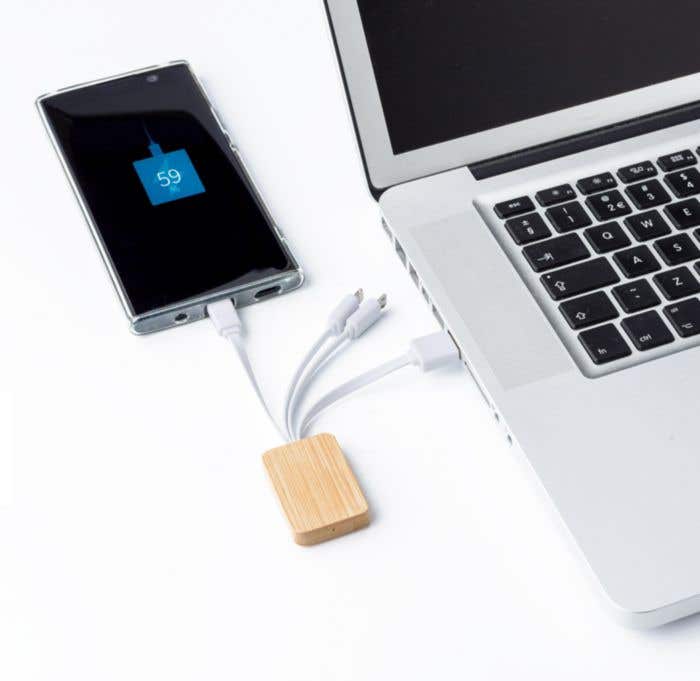 Câble de charge en Bambou