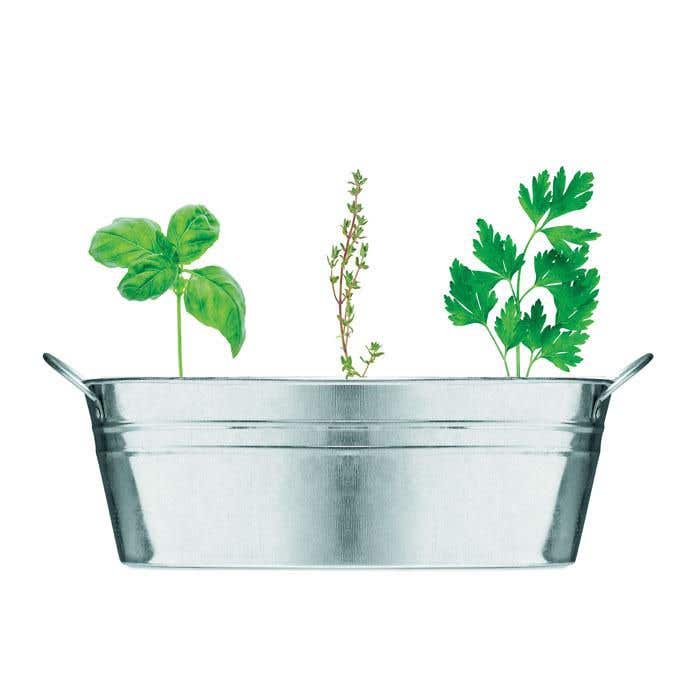 Bac en zinc et herbes aromatique