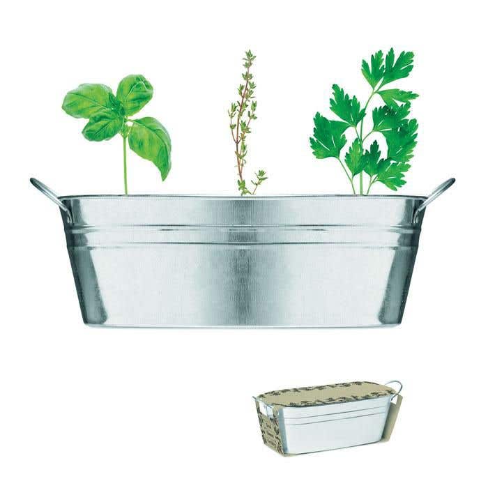 Bac en zinc et herbes aromatique