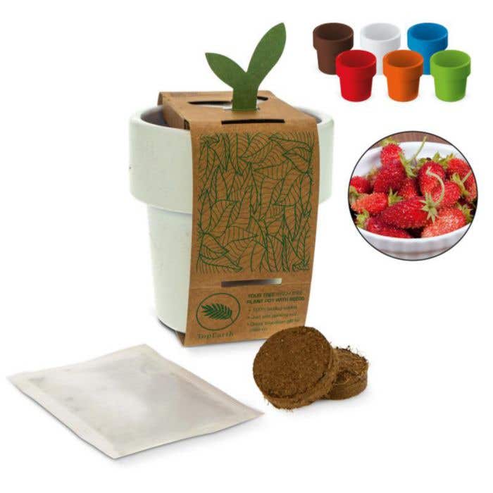 Tasse avec graines de fraisiers