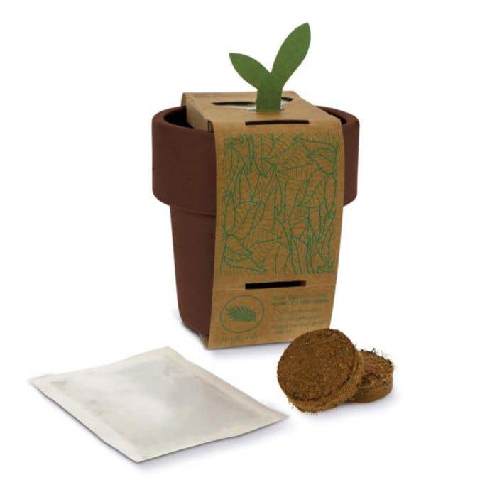 Tasse avec graines de fraisiers