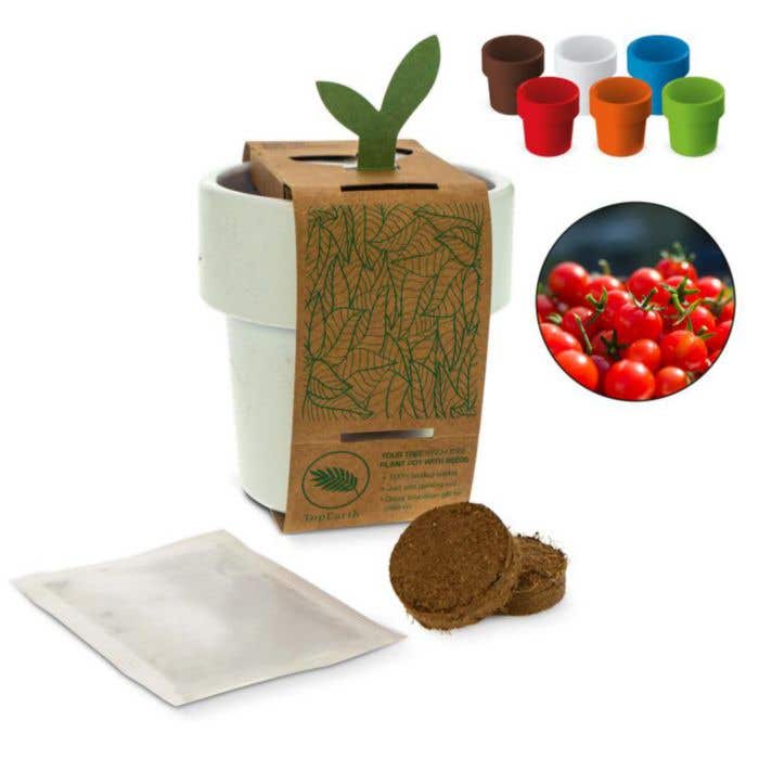 Tasse avec graines de tomate cerise